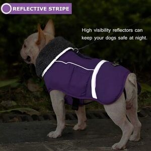 Dog Coat Medium Winter Jacket With Reflective Stripe Purple